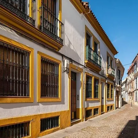 Apartment Atico Premium Con Terraza - Arcos De Medina 301
