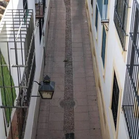 Apartment Atico Premium Con Terraza - Arcos De Medina 301 *