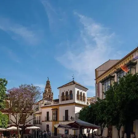 Atico Premium Con Terraza - Arcos De Medina 301