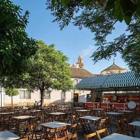 Atico Premium Con Terraza - Arcos De Medina 301 Apartment